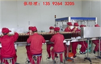 温州科信饮料生产设备桑葚果酒设备生产厂家年产500吨桑葚酒发酵灌装包装生产线图片及产品详情