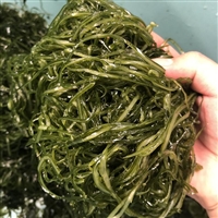 沃成机械切菜机沃成数字海带切丝机 切1毫米细丝机 数字调控 操作简单方便图片 价格