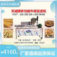 天诚机械设备大豆制品作坊多功能豆皮机 全自动商用蛋白肉机厂家图片及产品详情