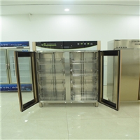 遙墻廚具機械設備小型紫外線消毒柜 熱風循環(huán)消毒柜 紅外線商用消毒柜圖片及產(chǎn)品詳情