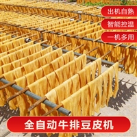 天诚机械设备中小型全自动豆皮机 人造肉机 干面皮机操作方便省人工图片及产品详情
