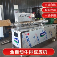 天誠機械設備河南小吃商用豆皮機 全自動人造蛋白肉機價格圖片及產品詳情