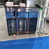 特锐德厨业消毒柜立方消毒柜 开店消毒柜 双温型消毒柜 单独消毒柜 太太宝消毒柜图片及产品详情