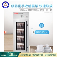 全成豪特機械設備商用廚房設備 雙門高溫消毒柜 雙門高溫消毒柜 供應批發圖片及產品詳情