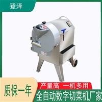 登泽切菜机小型切菜机 商用多功能杀菜机 食堂切菜机图片 价格