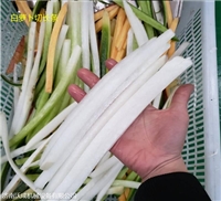 沃成機械切菜機赤峰蘿卜切條機 切蘿卜長條機器 土豆紅薯切條機 粗細可調圖片 價格