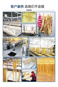 曲阜市盛隆食品机械有限公司机械设备半自动腐竹机 8米腐竹报价  广东小型腐竹加工机器图片及产品详情