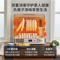 兴通原消毒柜韩加消毒柜家用小型茶杯迷你台式桌面立式厨房餐具烘干机消毒碗柜图片及产品详情