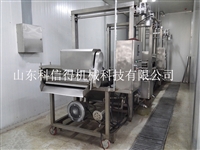 山东科信得机械设备薯条油炸机 红薯条燃气油炸设备 燃气加热油炸流水线图片 价格