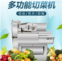 其他切菜機(jī)切菜機(jī) 家用小型電動(dòng)切菜機(jī) 蔬菜切菜機(jī) 廠家支持定制圖片 價(jià)格