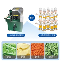 伊文切菜机果蔬切丝机 土豆切丝机 电动多功能切菜机图片 价格