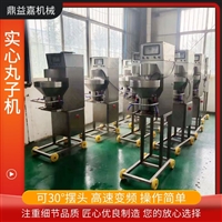 鼎益嘉机械设备蔬菜丸子机 墨鱼丸成型机器 高速变频焦丸子成型设备图片 价格