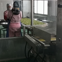 海盛机械机械设备萝卜丸子油炸机 小酥肉油炸机 茄合耦合油炸机 自动刮渣图片 价格
