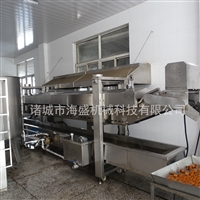 海盛机械机械设备新疆酱牛肉加工设备 牛肉干油炸流水线 牛肉干全自动油炸机图片 价格