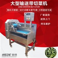 赫德切菜機大型葉類菜切菜機 大型凈菜切菜流水線 葉類菜切割流水線圖片 價格