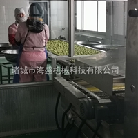 海盛机械机械设备香酥萝卜丸子油炸机 蔬菜丸子油炸设备 全自动电加热油炸线图片 价格