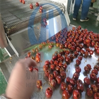 赫品机械机械设备hp400山楂上糖机 脆枣挂糖机 冻干山楂裹糖机器图片及产品详情