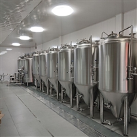 百冠机械机械设备精酿啤酒设备 果味啤酒酿造设备 不锈钢啤酒机器图片及产品详情