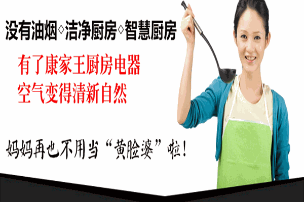 康家王廚衛(wèi)電器代理