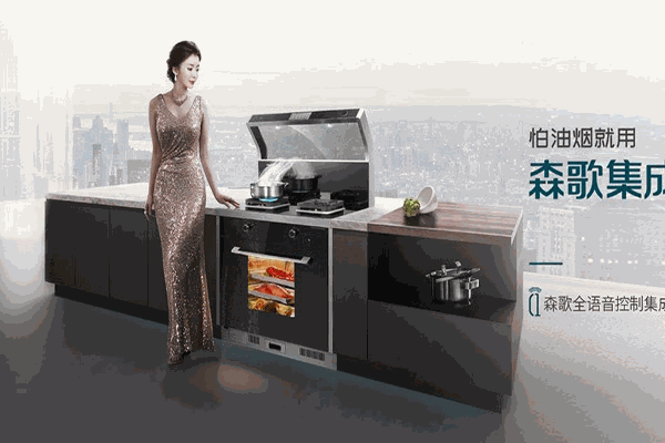 森歌集成灶代理