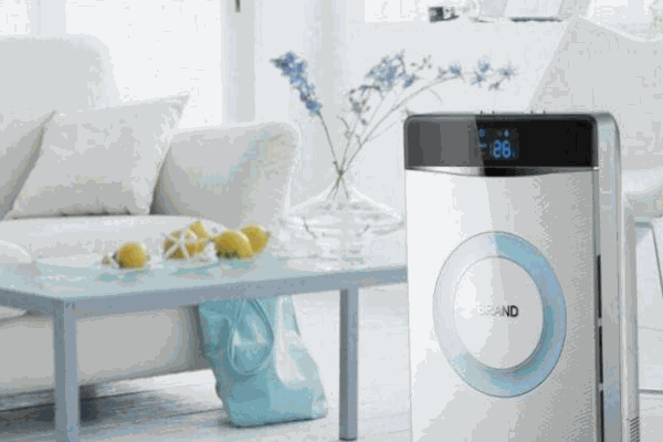 欧格斯空气净化器代理