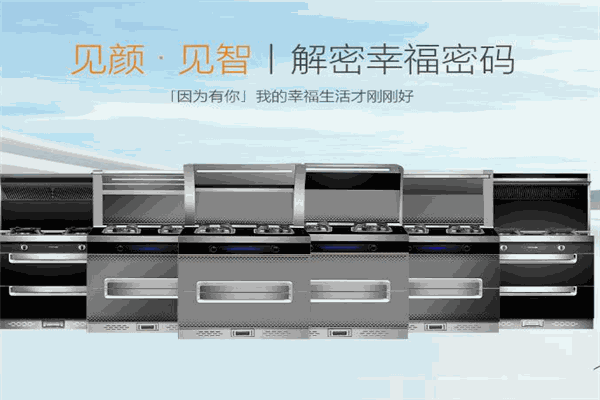 心厨集成灶招商加盟