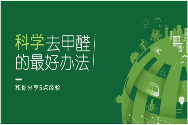 沐森除甲醛招商加盟