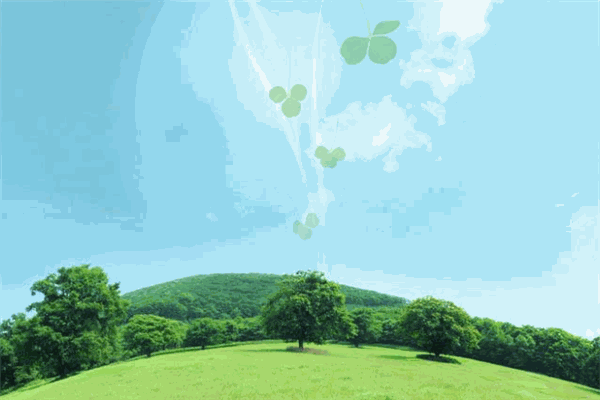 馨清空气净化招商加盟