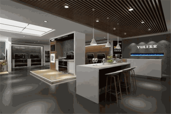 玉立厨房电器代理