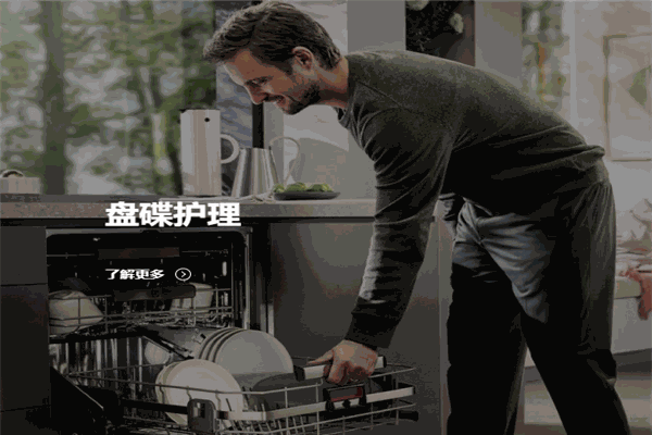 伊莱克斯电器