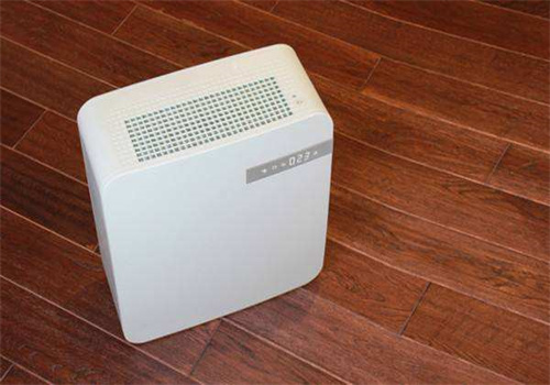 豹米空气净化器招商加盟