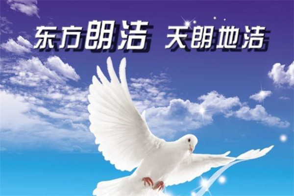 东方朗洁代理