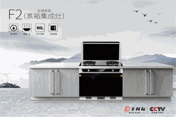 丰向标集成灶