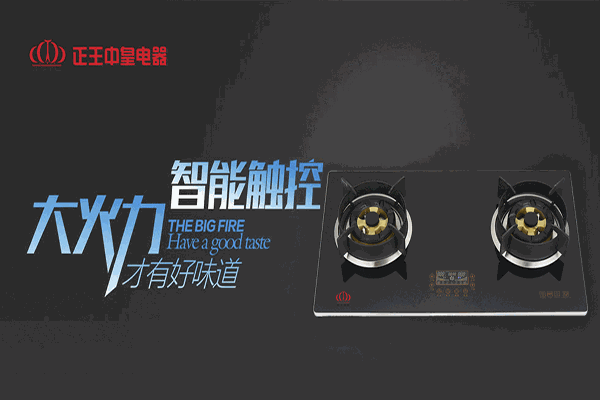 正王中皇电器