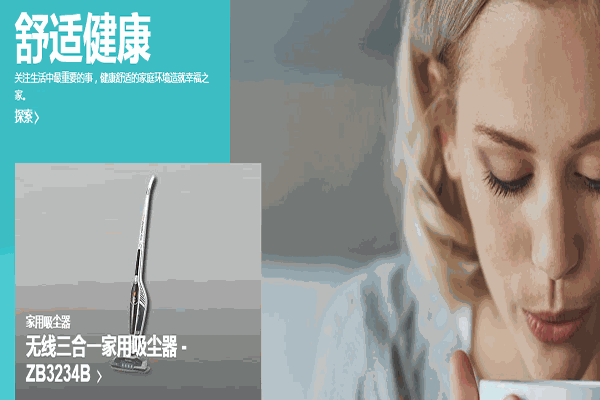 伊莱克斯电器