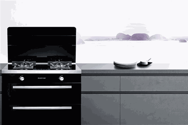 多意集成环保灶