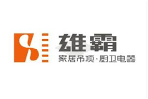 雄霸電器