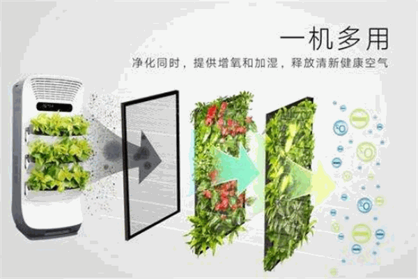 森境智能植物净化器