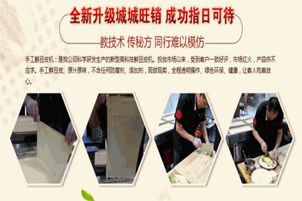 恒尔鲜豆皮机