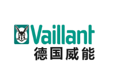 德国威能壁挂炉
