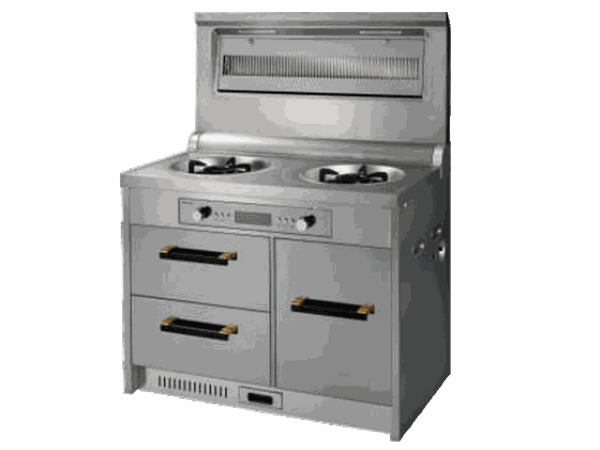 森歌集成环保灶