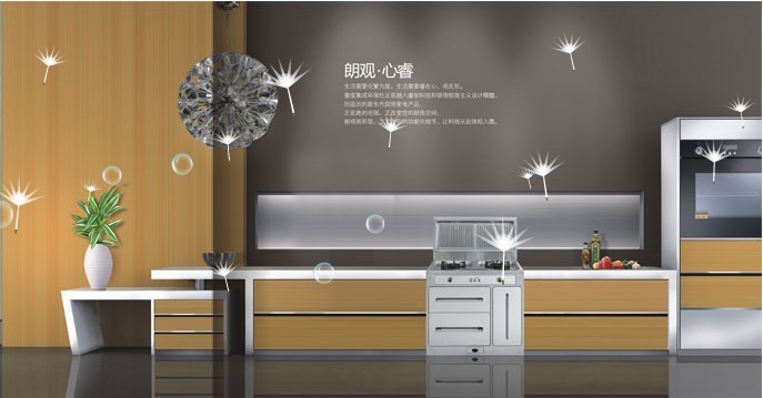 壹度集成环保灶