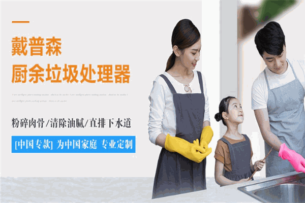 戴普森垃圾处理器